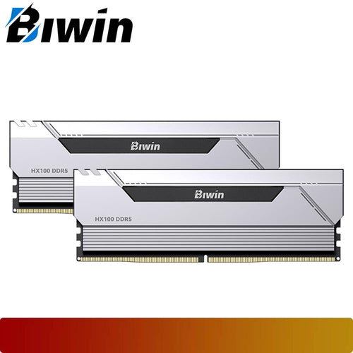 BIWIN Opal HX100 64GB (2x32GB) DDR5 6000MT/s Kit CL30 Silver