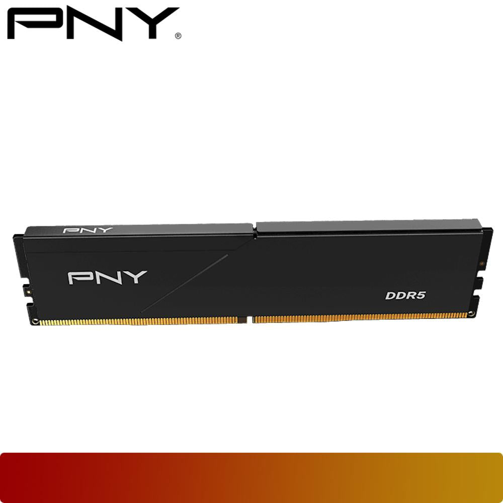 PNY MD16GSD5560046LP 16GB (1x16GB) DDR5 5600MHz CL46 - Black