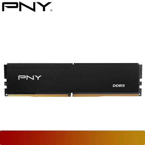 PNY MD16GSD5560046LP 16GB (1x16GB) DDR5 5600MHz CL46 - Black