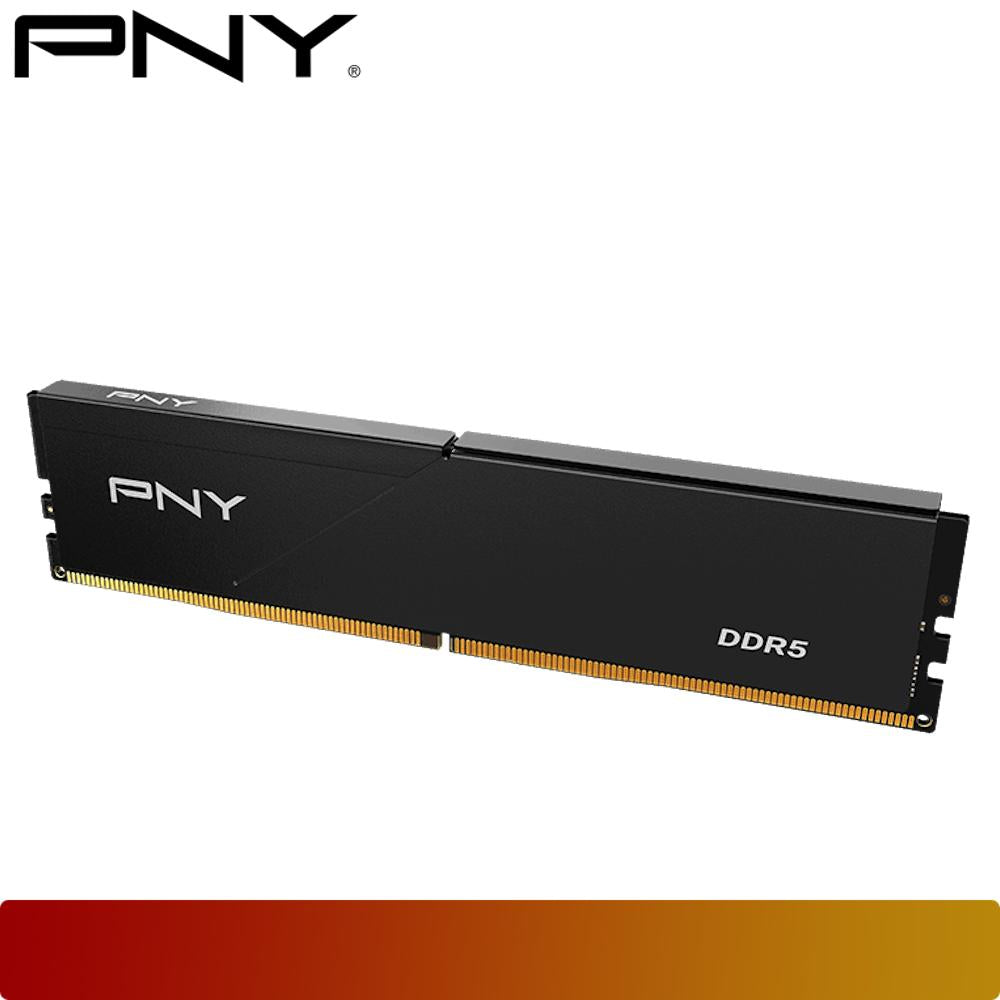 PNY MD16GSD5560046LP 16GB (1x16GB) DDR5 5600MHz CL46 - Black