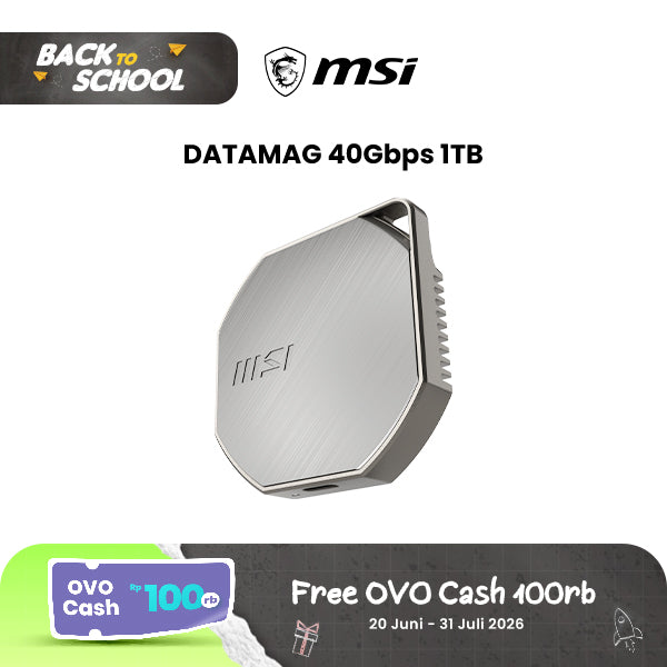 MSI DATAMAG 40Gbps 1TB