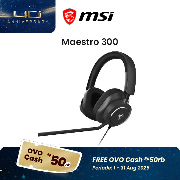 MSI MAESTRO 300