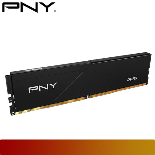 PNY MD16GSD5560046LP 16GB (1x16GB) DDR5 5600MHz CL46 - Black