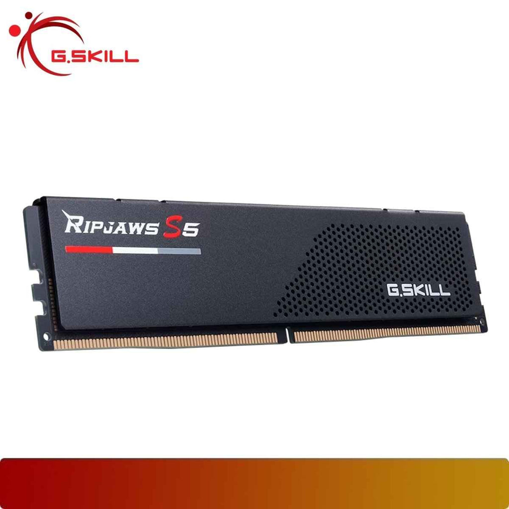 G.SKILL F5-6000J3636F16GX1-RS5K