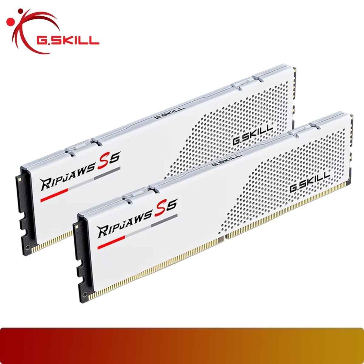 G.SKILL F5-6000J3648D16GX2-RS5W