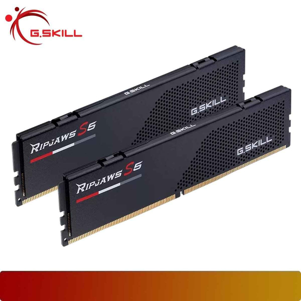 G.SKILL F5-6400J3648G24GX2-RS5K