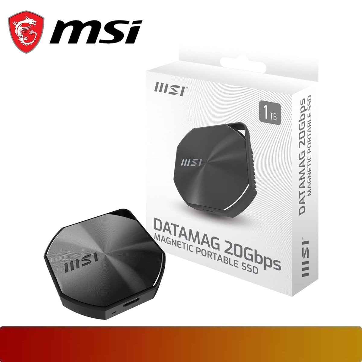 MSI DATAMAG 20Gbps 1TB