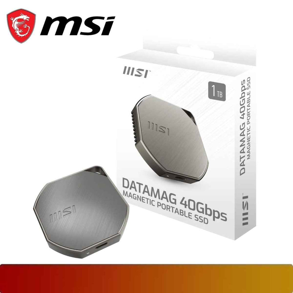 MSI DATAMAG 40Gbps 1TB