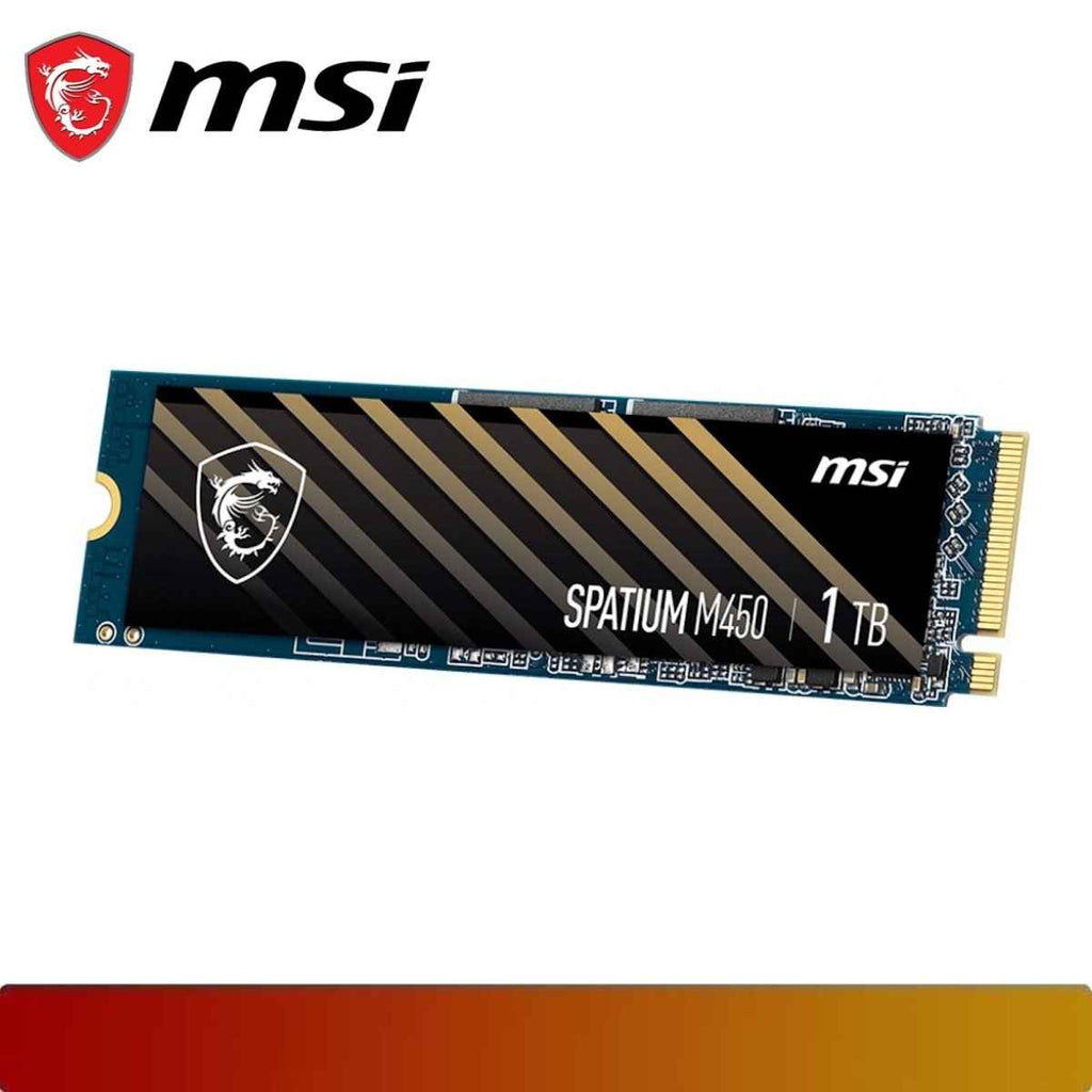 MSI SPATIUM M450 PCIe 4.0 NVMe M.2 1TB
