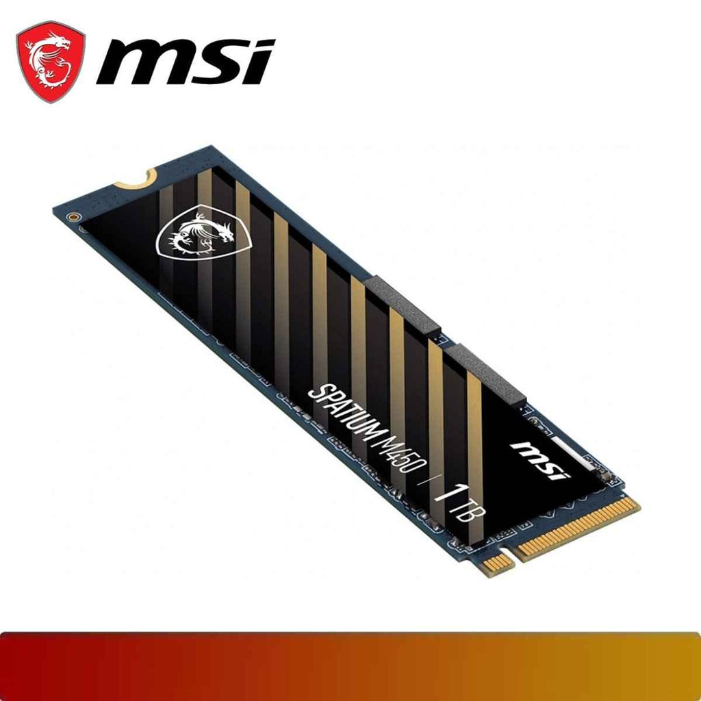 MSI SPATIUM M450 PCIe 4.0 NVMe M.2 1TB