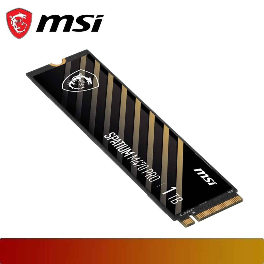 MSI SPATIUM M470 PRO PCIe 4.0 NVMe M.2 1TB