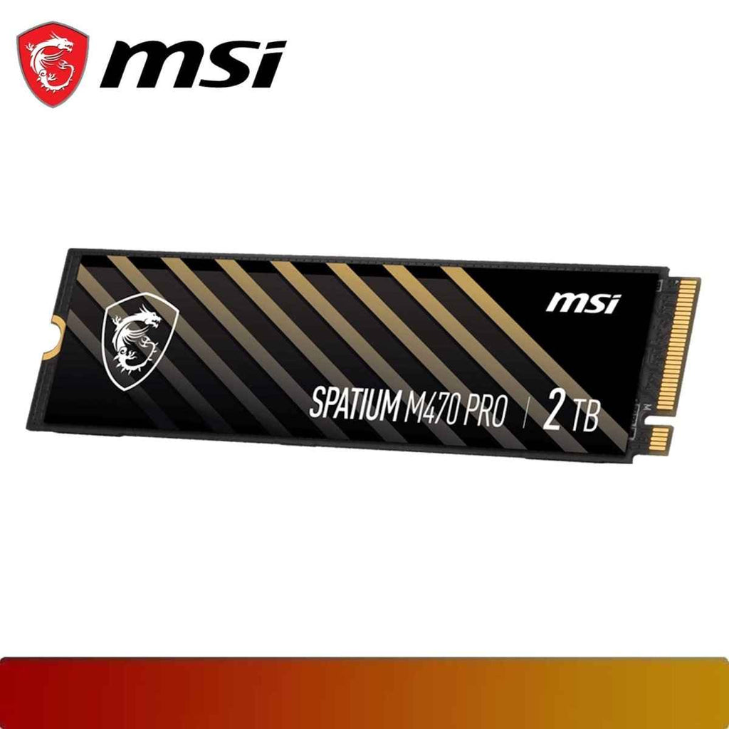 MSI SPATIUM M470 PRO PCIe 4.0 NVMe M.2 2TB