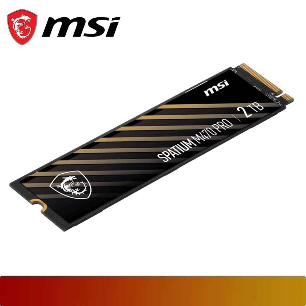 MSI SPATIUM M470 PRO PCIe 4.0 NVMe M.2 2TB