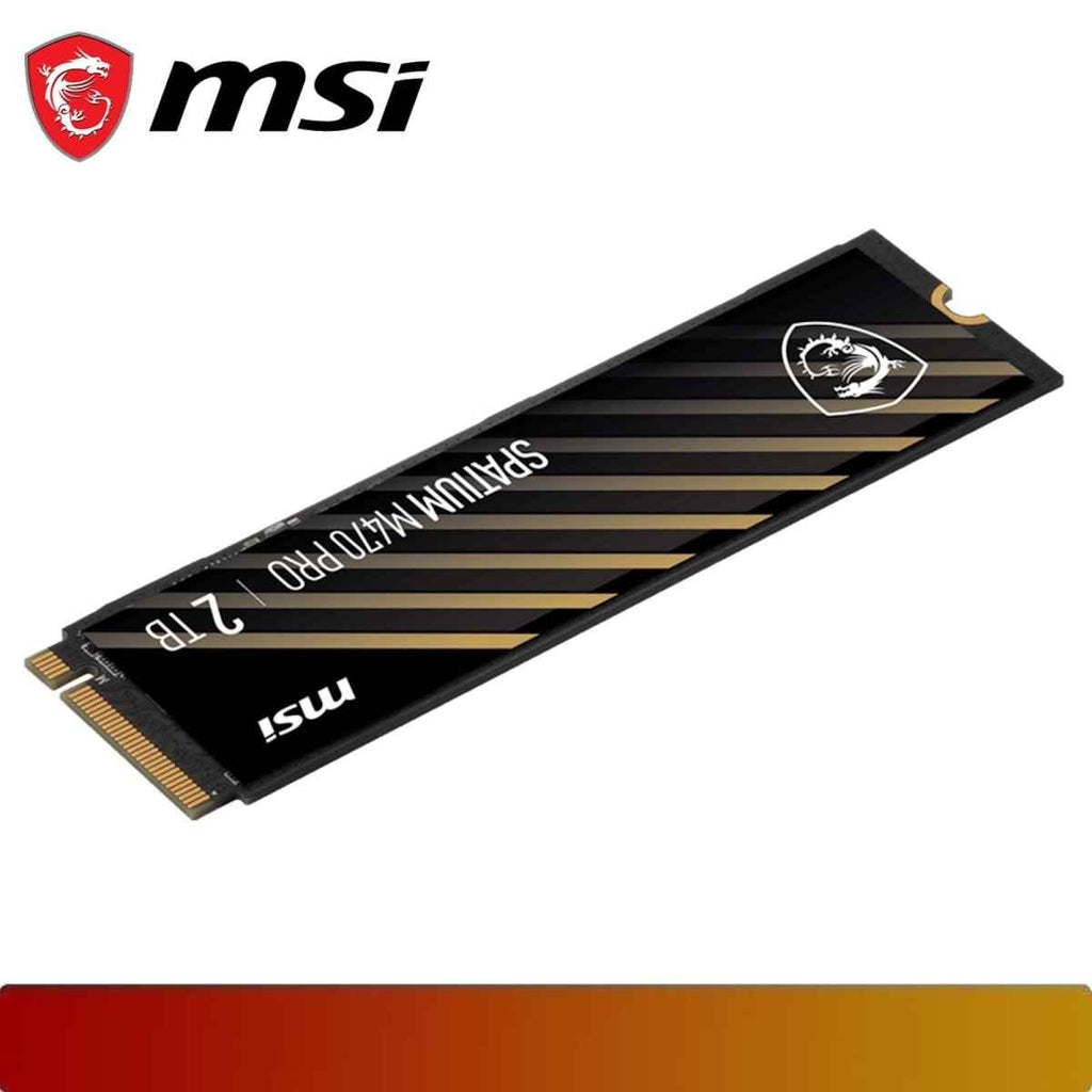 MSI SPATIUM M470 PRO PCIe 4.0 NVMe M.2 2TB