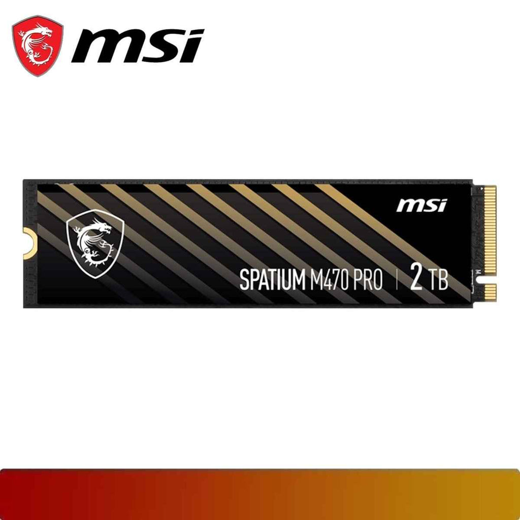 MSI SPATIUM M470 PRO PCIe 4.0 NVMe M.2 2TB