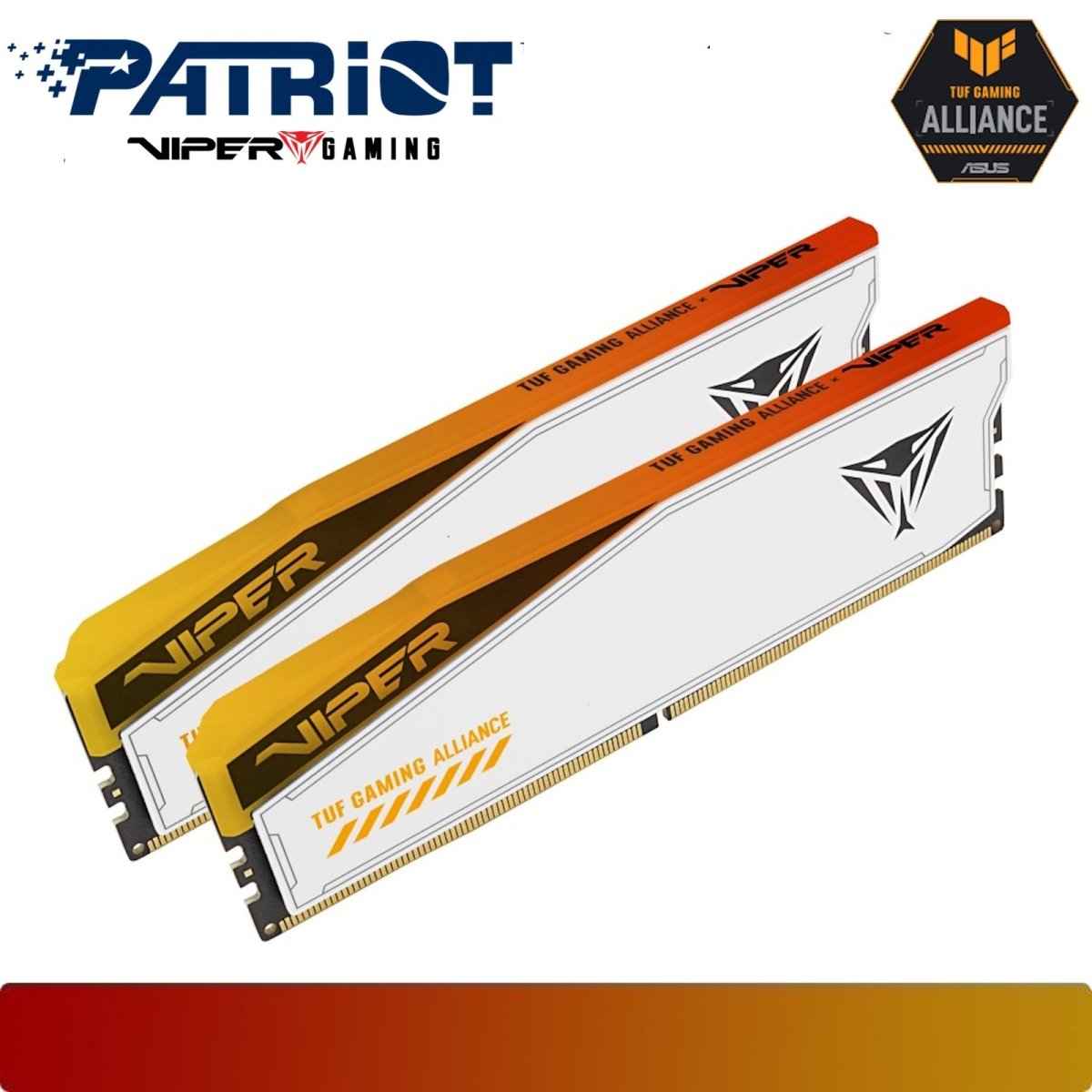 PATRIOT PVER548G66C34KT