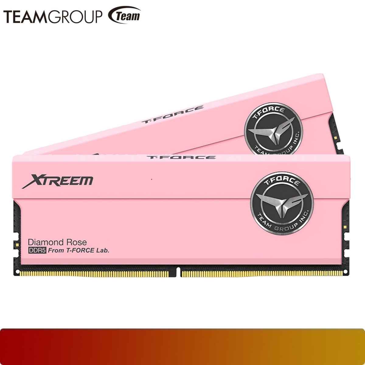 TEAM FFPD532G7600HC36FDC01